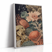 Coral Gardens Whisper Ancient Secrets