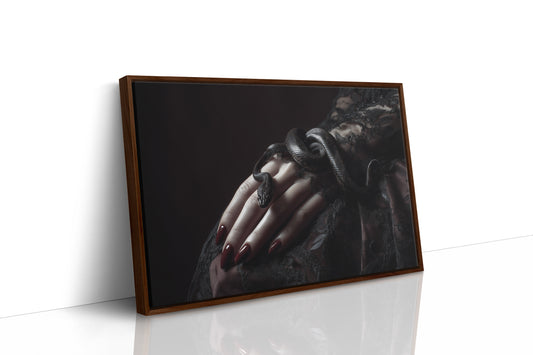 Serpent Tales Between Leather Spines