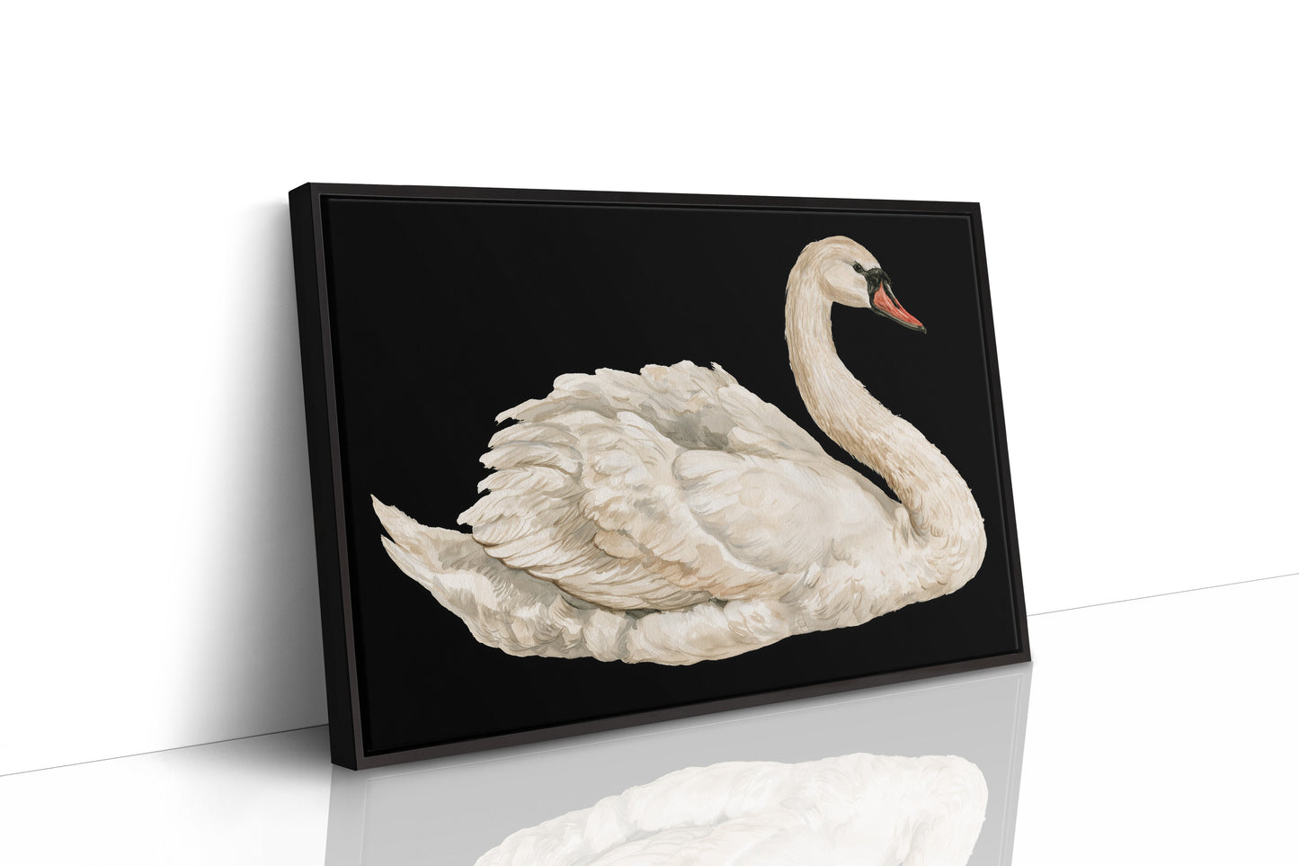 Swan, Study in White