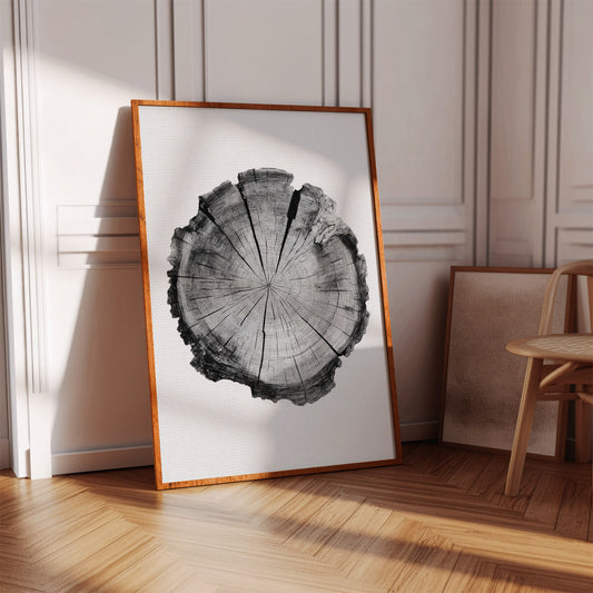 Textured Tree Ring Study