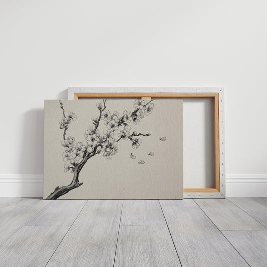 Cherry Blossoms Write Their Story