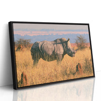 Rhino, Golden Grassland