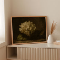 Faded Elegance Hydrangea