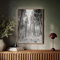 Beneath the Silent Canopy