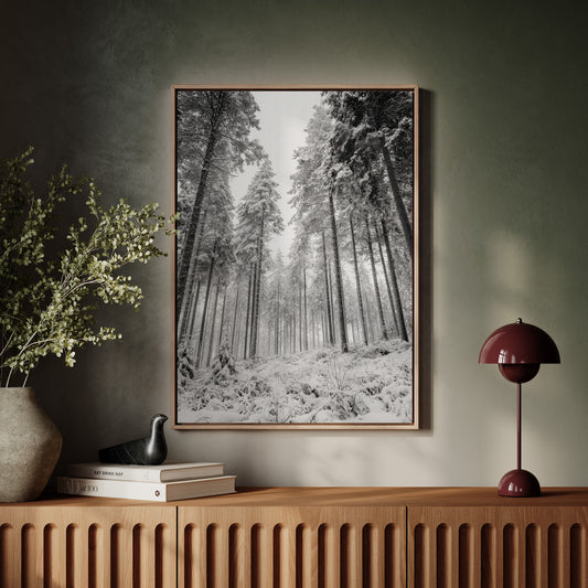 Beneath the Silent Canopy