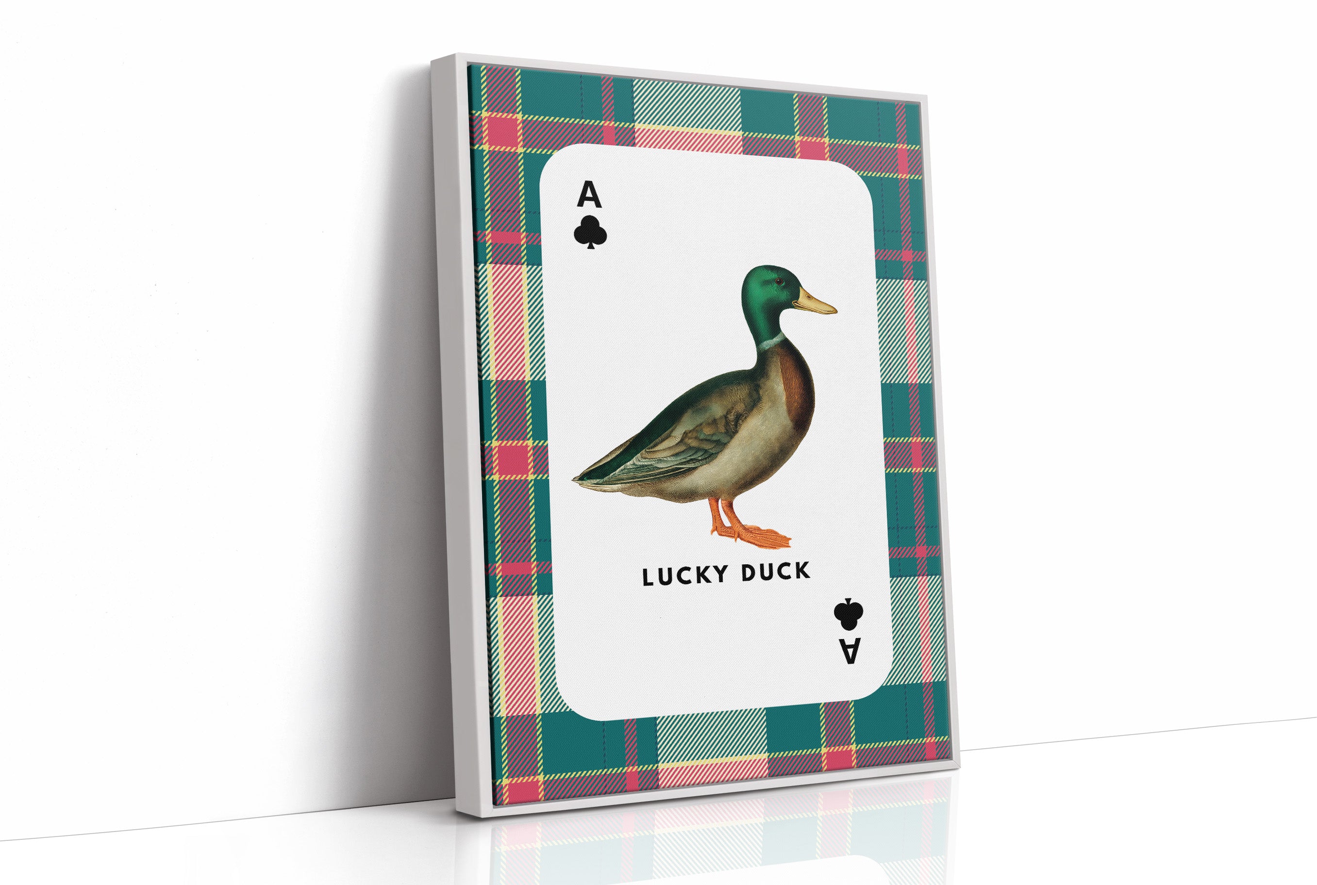 Highland Gambit: Ace of Mallards