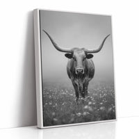 Longhorn's Steady Gaze Endures
