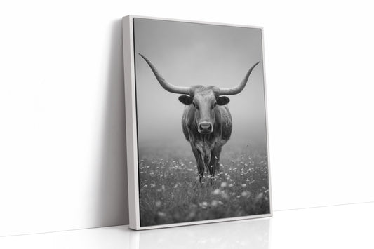 Longhorn's Steady Gaze Endures