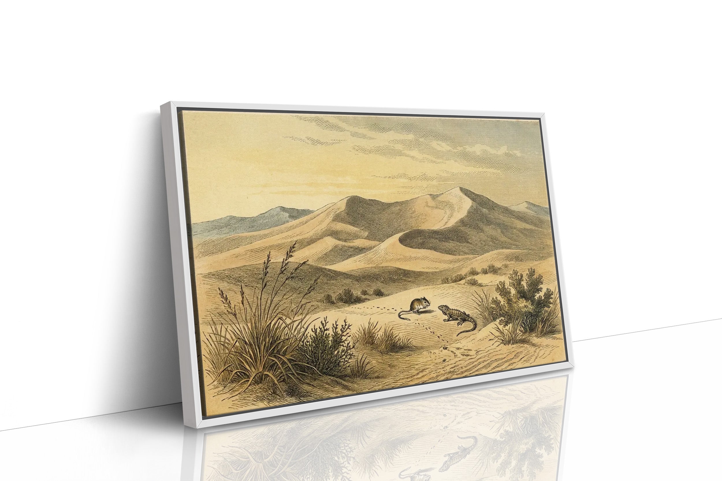 Kangaroo Rat and the Dune Lizard
