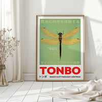 Tonbo – The Science of Dragonflies