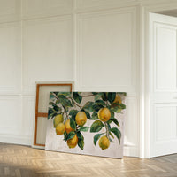 Sunlit Lemons Dance Among Leaves