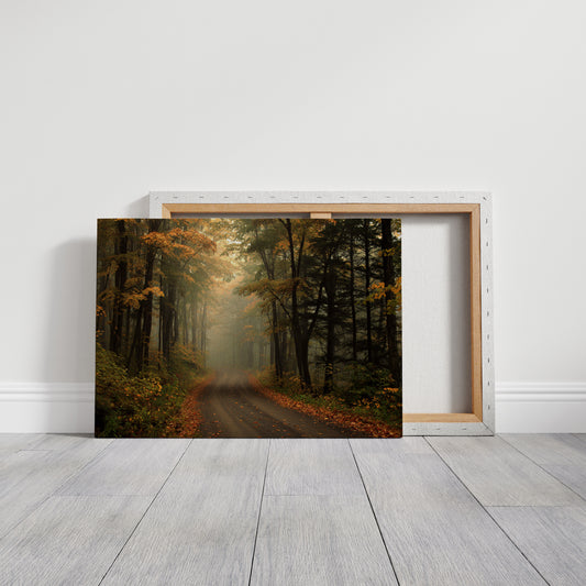 Maple Roads Remember October's Song