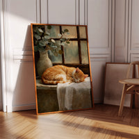 Naptime Beneath Sunlit Windows
