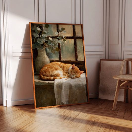 Naptime Beneath Sunlit Windows