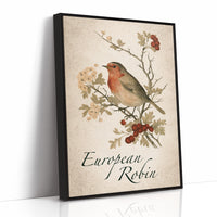 Robin the Hawthorn Blind