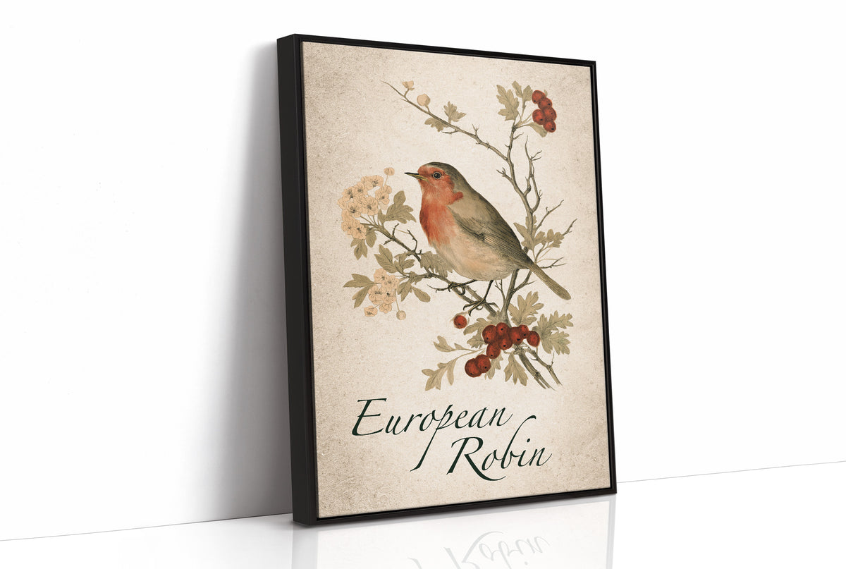 Robin the Hawthorn Blind