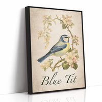 Blue-Blooded Among the Blossoms