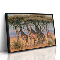 Giraffe Tower, Acacia Shade