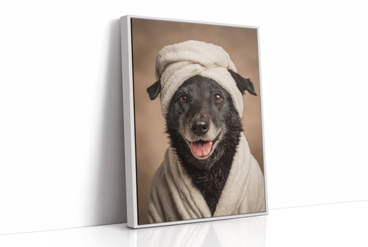 Spa Day for the Furry Companion