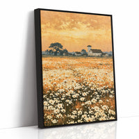 Daisy Fields at Golden Hour