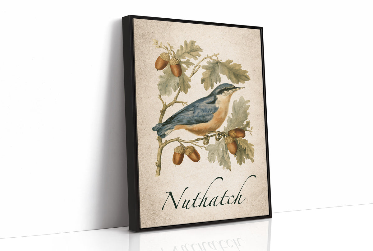Totally Nuts About Acorns