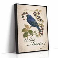 Bramble On, Blue Crooner