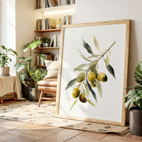 Harvested From Sunlit Groves