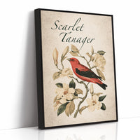 Scarlet Letter Among the Magnolias