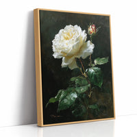 The White Rose Holds Its Light