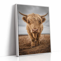 Highland Soul In Rustic Portrait