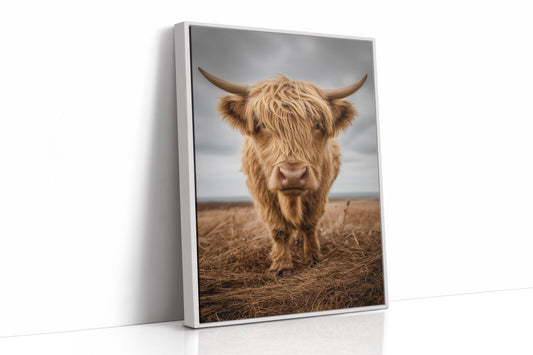 Highland Soul In Rustic Portrait