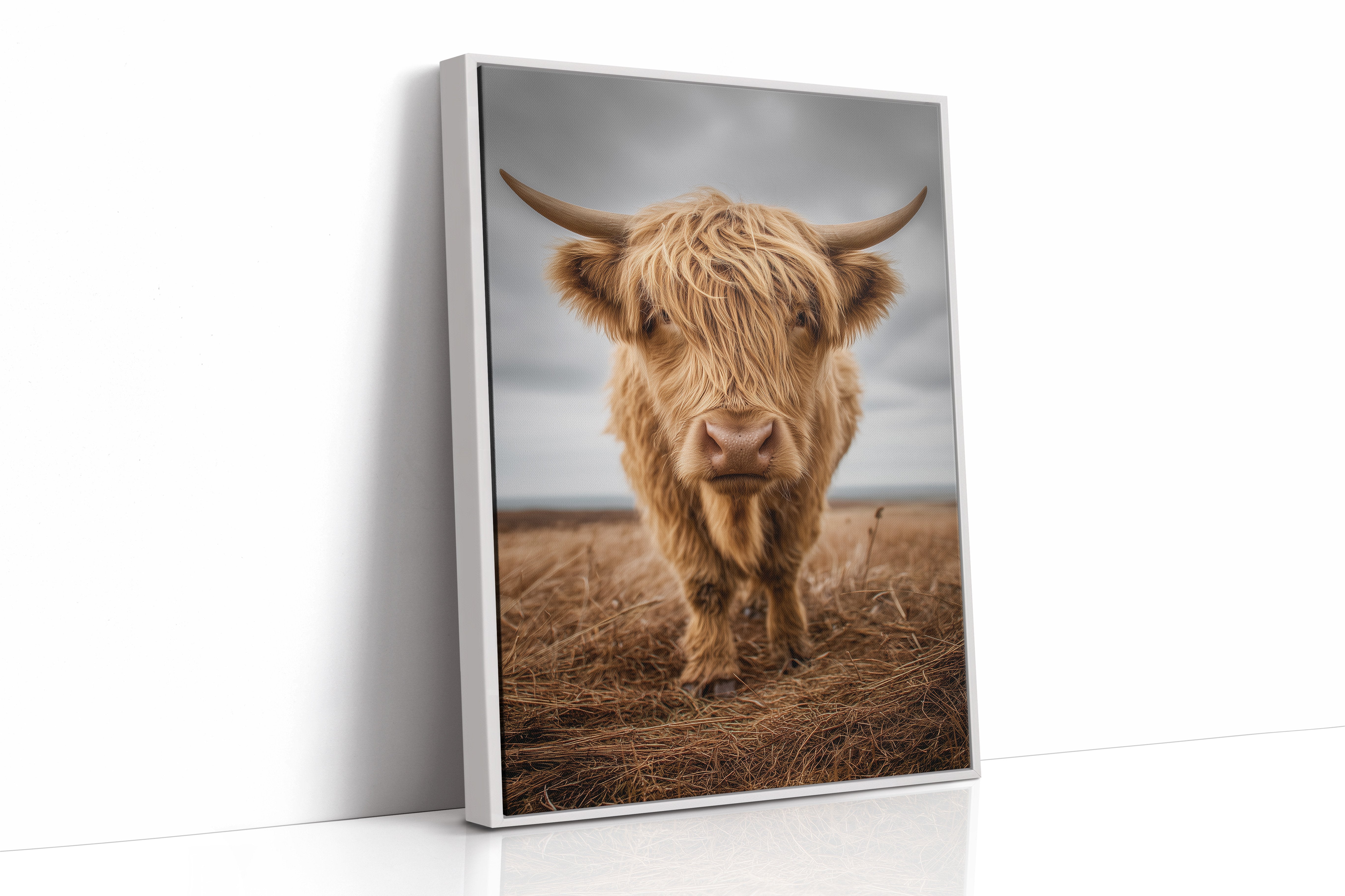 Highland Soul In Rustic Portrait
