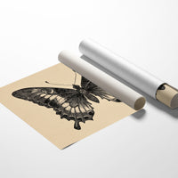 Between Pages And Flight Patterns