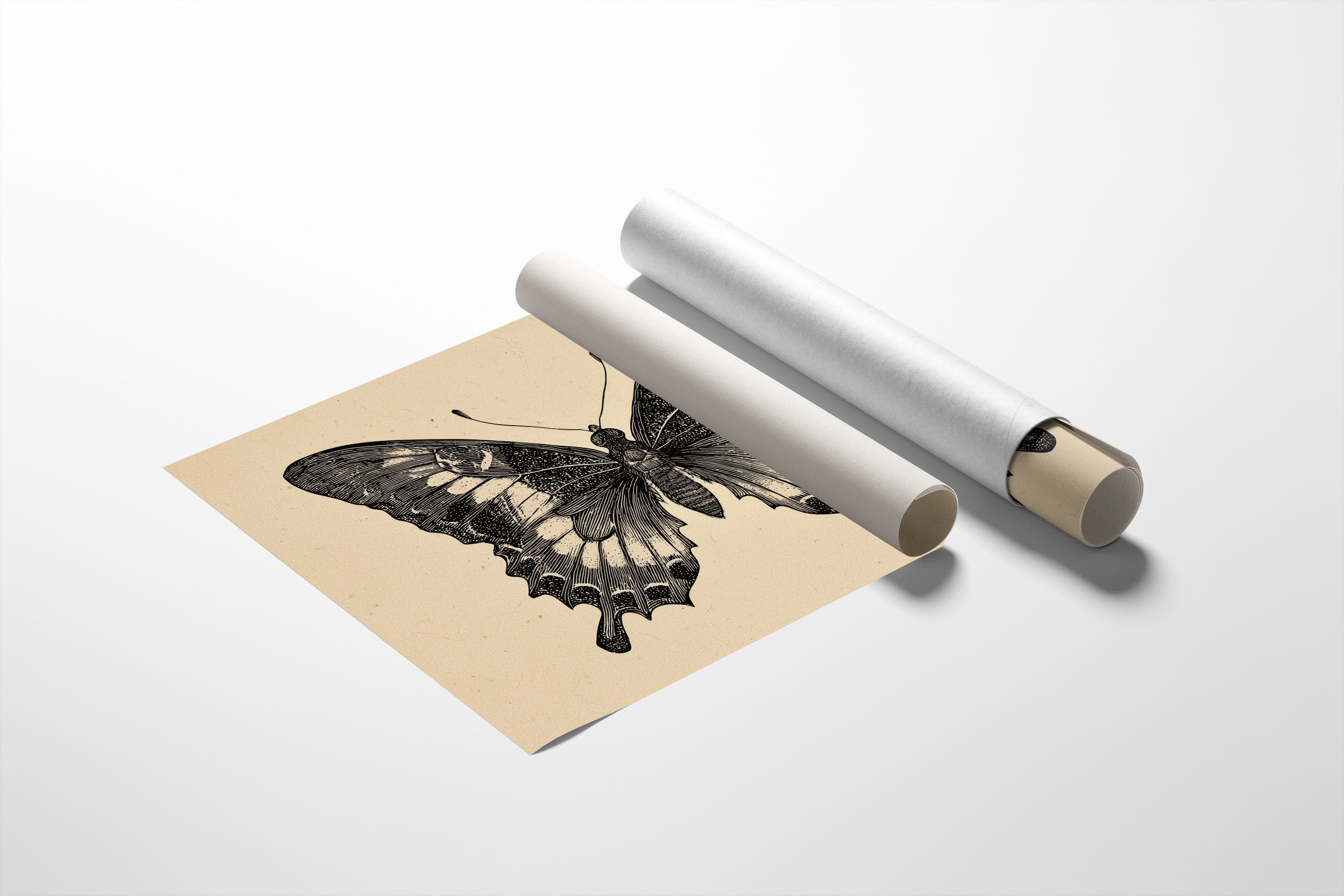 Between Pages And Flight Patterns