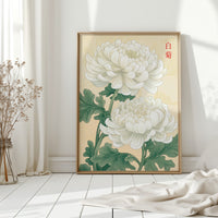 White Chrysanthemum – Symbol of Purity and Elegance