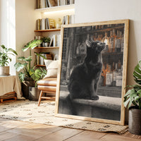 A Flicker of Curiosity
