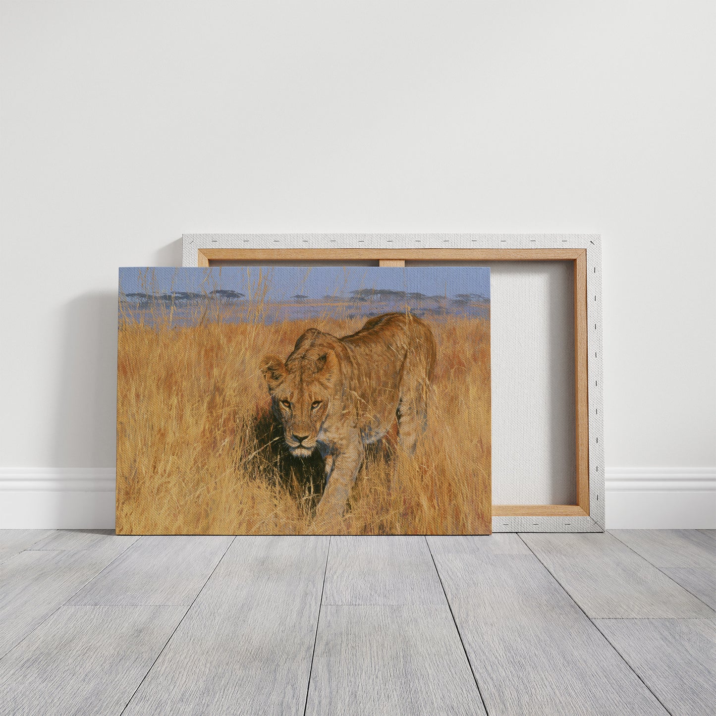 Lioness, Golden Grass Approach