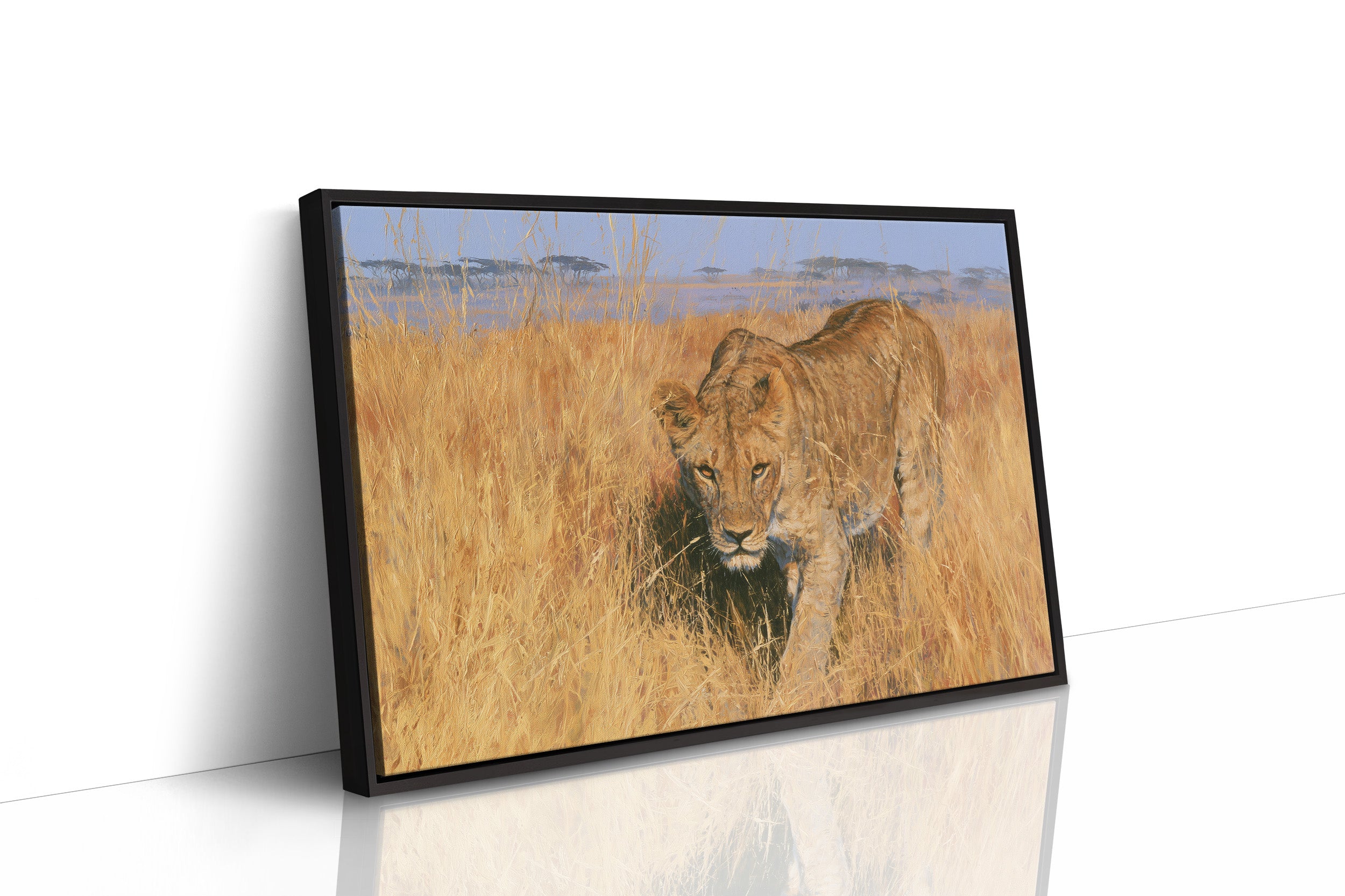Lioness, Golden Grass Approach