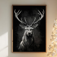 Midnight Tales From Northern Woods