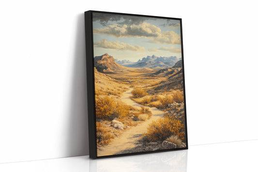 Winding Trail Through Golden Desert