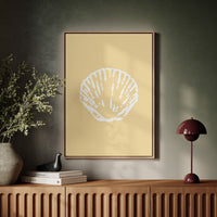 Seashells Remember Their Sandy Home