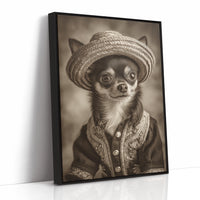 Little Bandito Wears Sunday Best