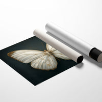 Ivory Wings Against Midnight Blue