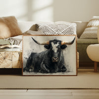 Black Bulls Rest Under Texas Stars