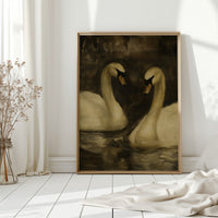 Two Swans in Quiet Reflection
