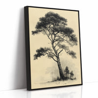 The Pine That Outlasted Everything