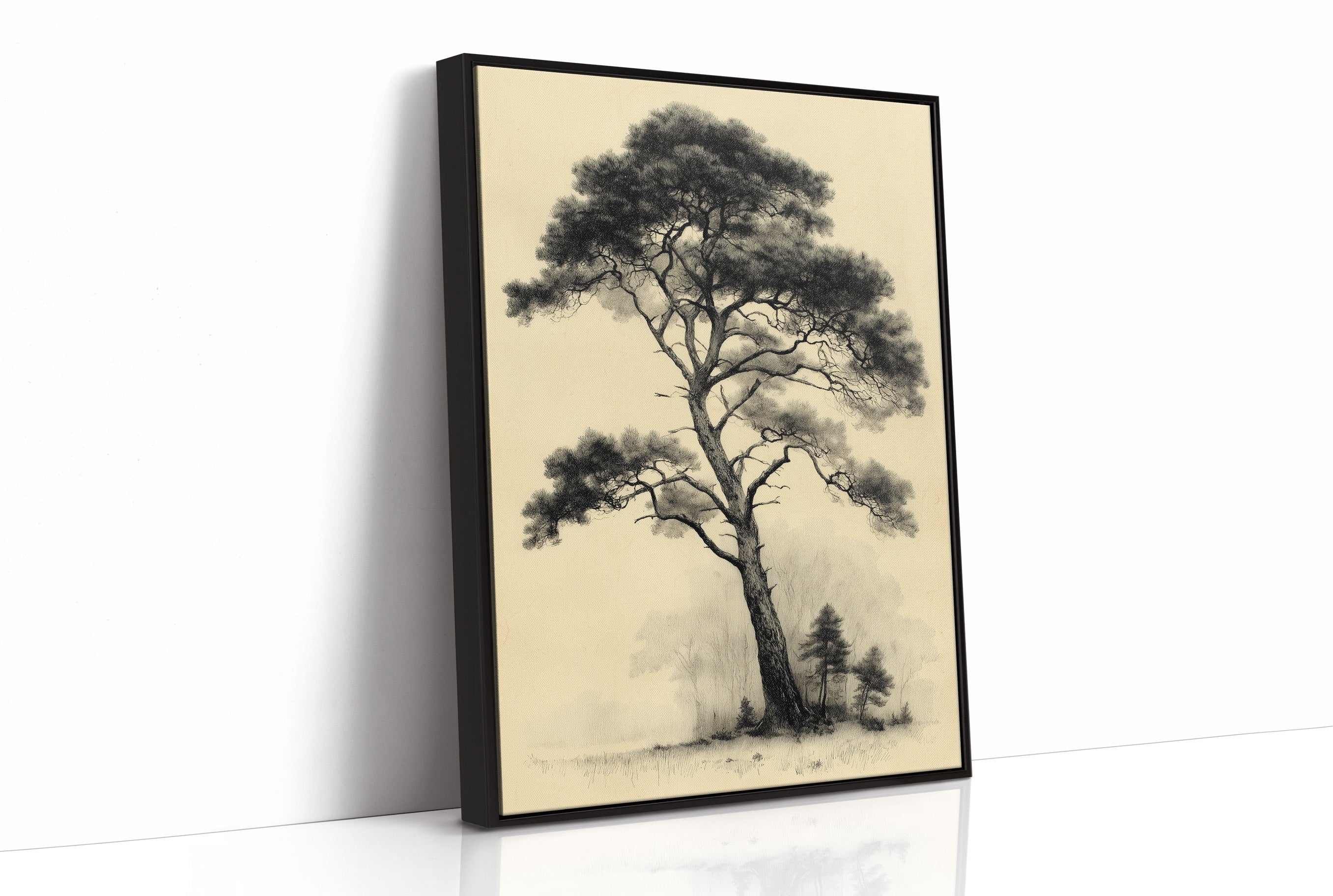 The Pine That Outlasted Everything