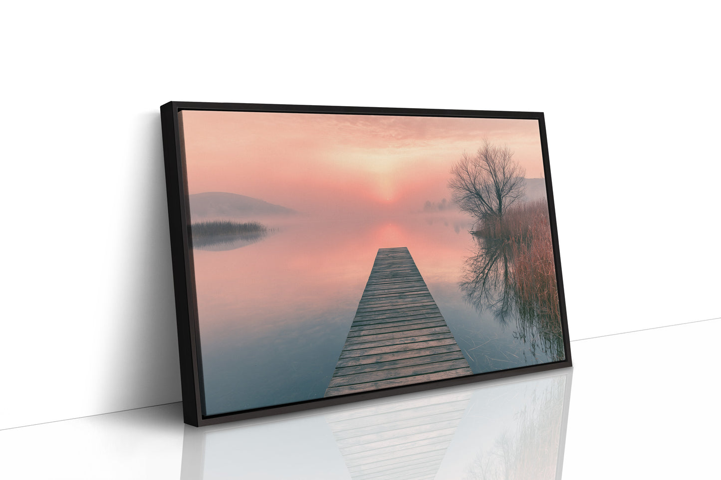 Dock, Blush Horizon