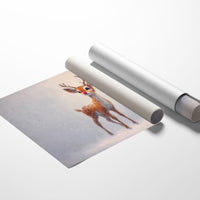 Red Nose Brings Winter Magic Home