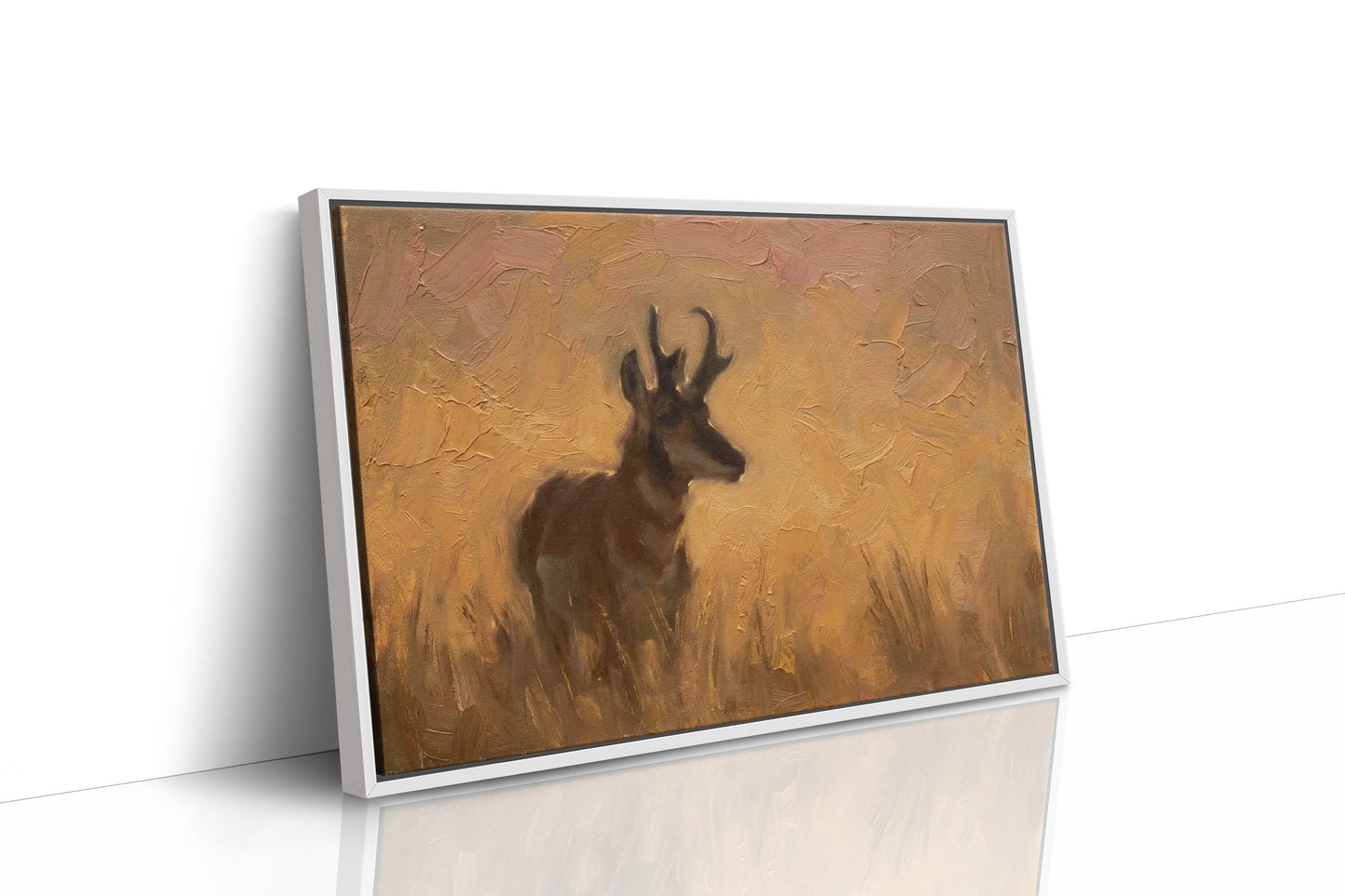 Pronghorn in Golden Grass